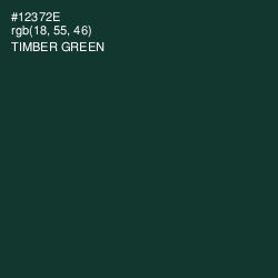 #12372E - Timber Green Color Image